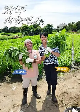 职场综艺